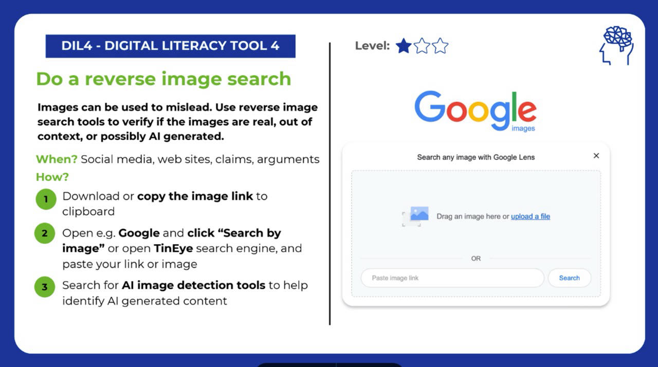 I2I Project Student Interaction on Disinformation Workshops Critical Thinking Tools